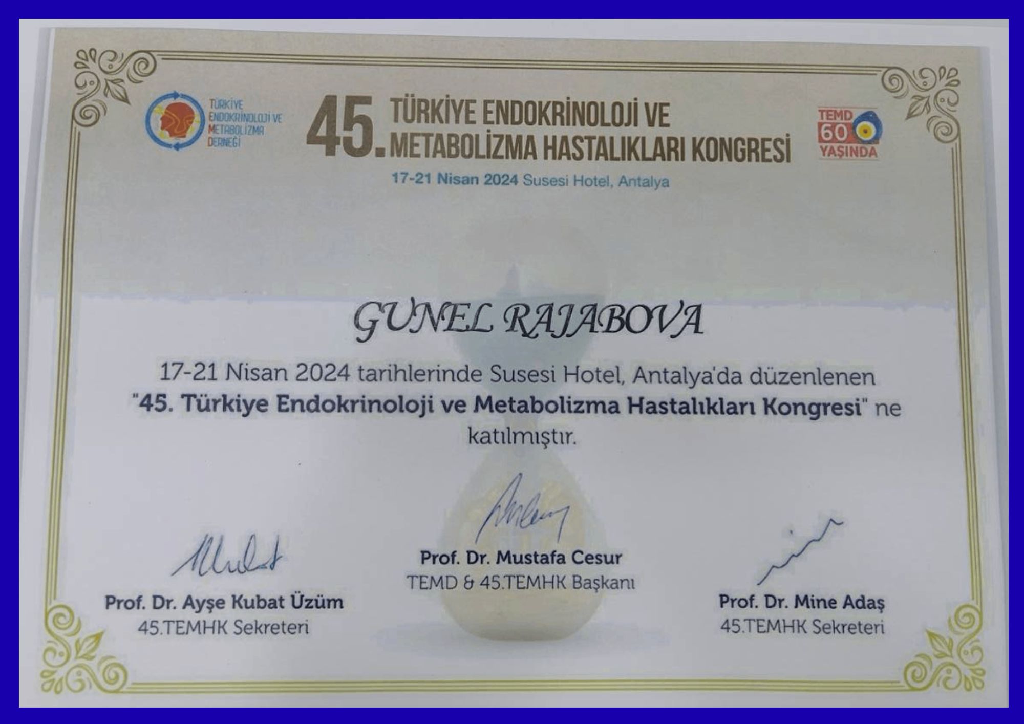 certificate 12