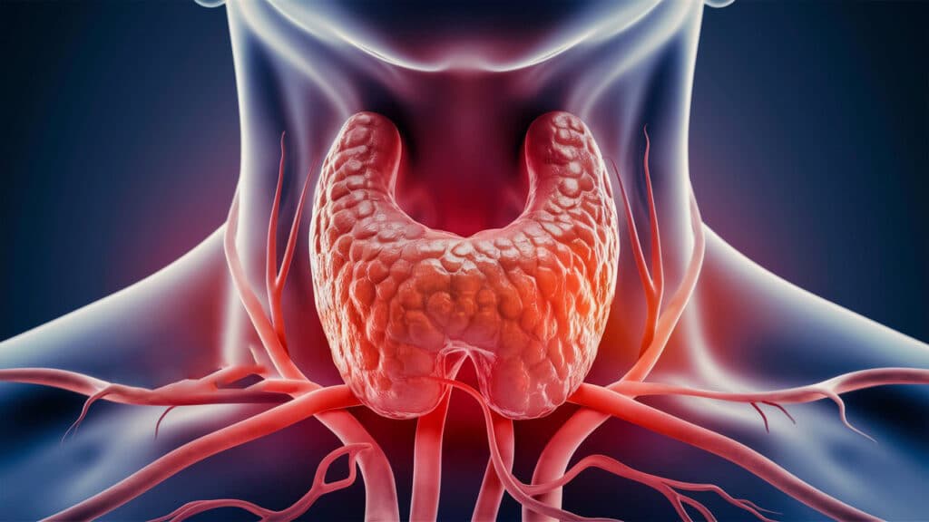 Qalxanabənzər vəzi xəstəlikləri əlamətləri